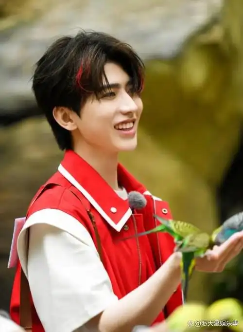 《奔跑吧》蔡徐坤的画面全部消失!网友惊讶:向后期制作人致敬