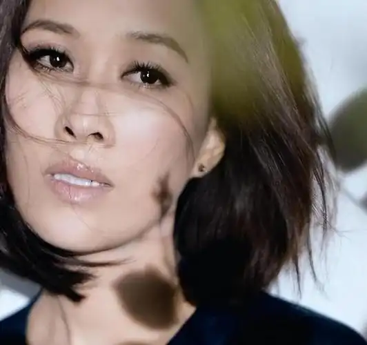 坚持与成就坚持自己的梦想,相信自己的才华,这是中国著名女歌手那英的