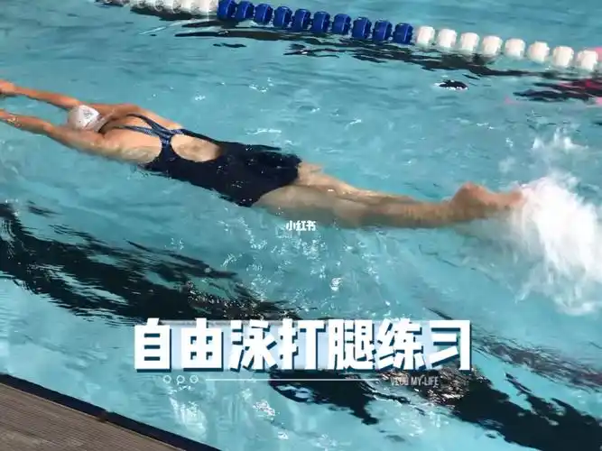 自由泳打腿练习