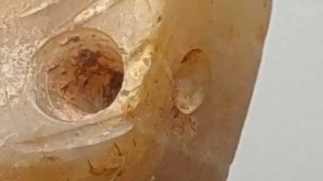 殷商和田白玉圆雕龙觹的对钻孔