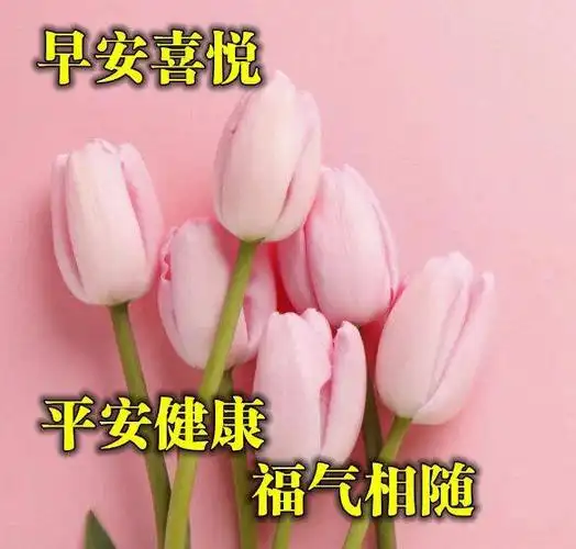 2020年5月24日早安漂亮图片带字最新版,愿你找到自己的幸福