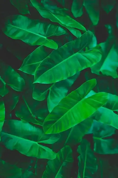 658_987竖版 竖屏