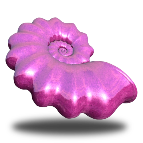 粉红色的海螺png图标