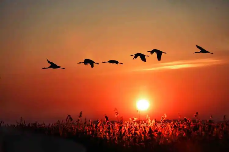 ctps.cn-- 飞向远方 真的无所谓