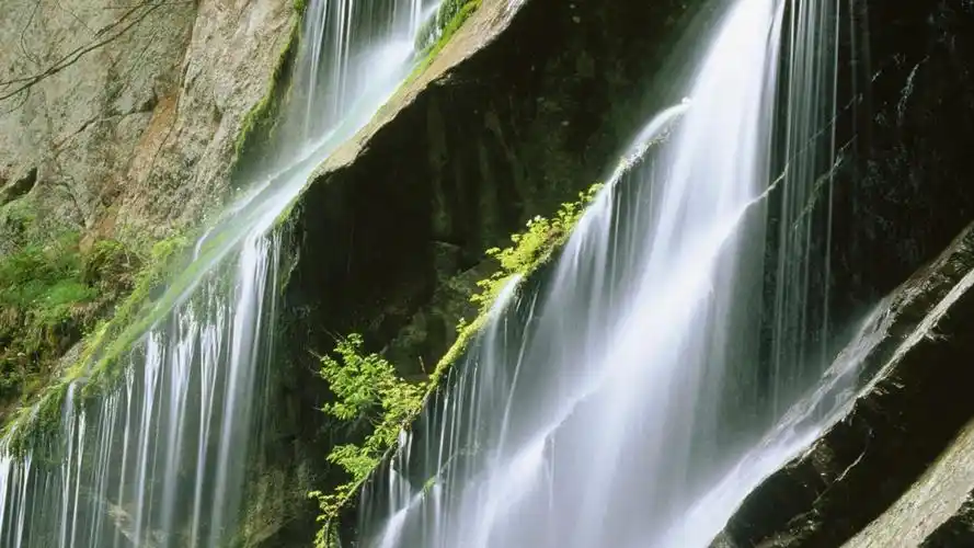 电脑桌面壁纸自用