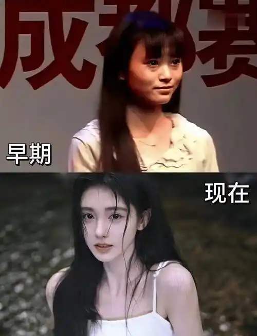 明明是整容脸,却整成了颜值巅峰,这4位女明星,动脸太成功