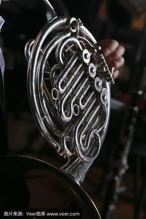 风,乐器,铜管乐器,垂直画幅,爵士乐