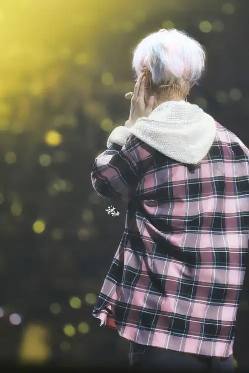 鹿晗演唱会背影图##鹿晗三巡