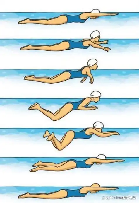 蛙泳技巧让你轻松成为游泳达人!