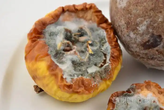 腐烂的苹果股票图像.在盘子上发霉的水果.发霉的苹果和白色的背景