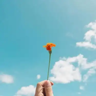 女性朋友圈励志短句2021最火励志句子发朋友圈