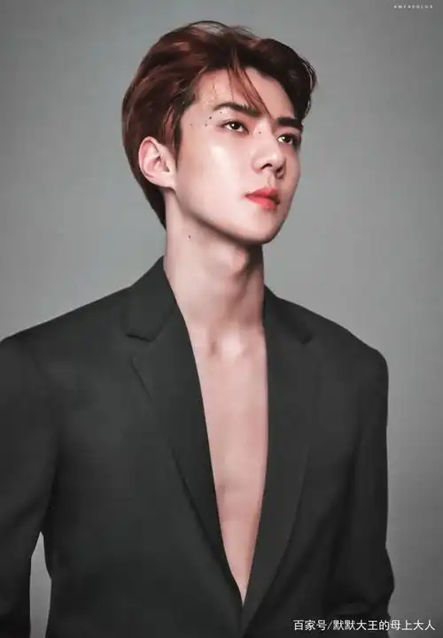 exo吴世勋腹肌照分享,别再假惺惺告诉我你只爱他的才华