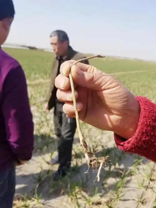 上海杉一集团打假巡查组走进山东巨野
