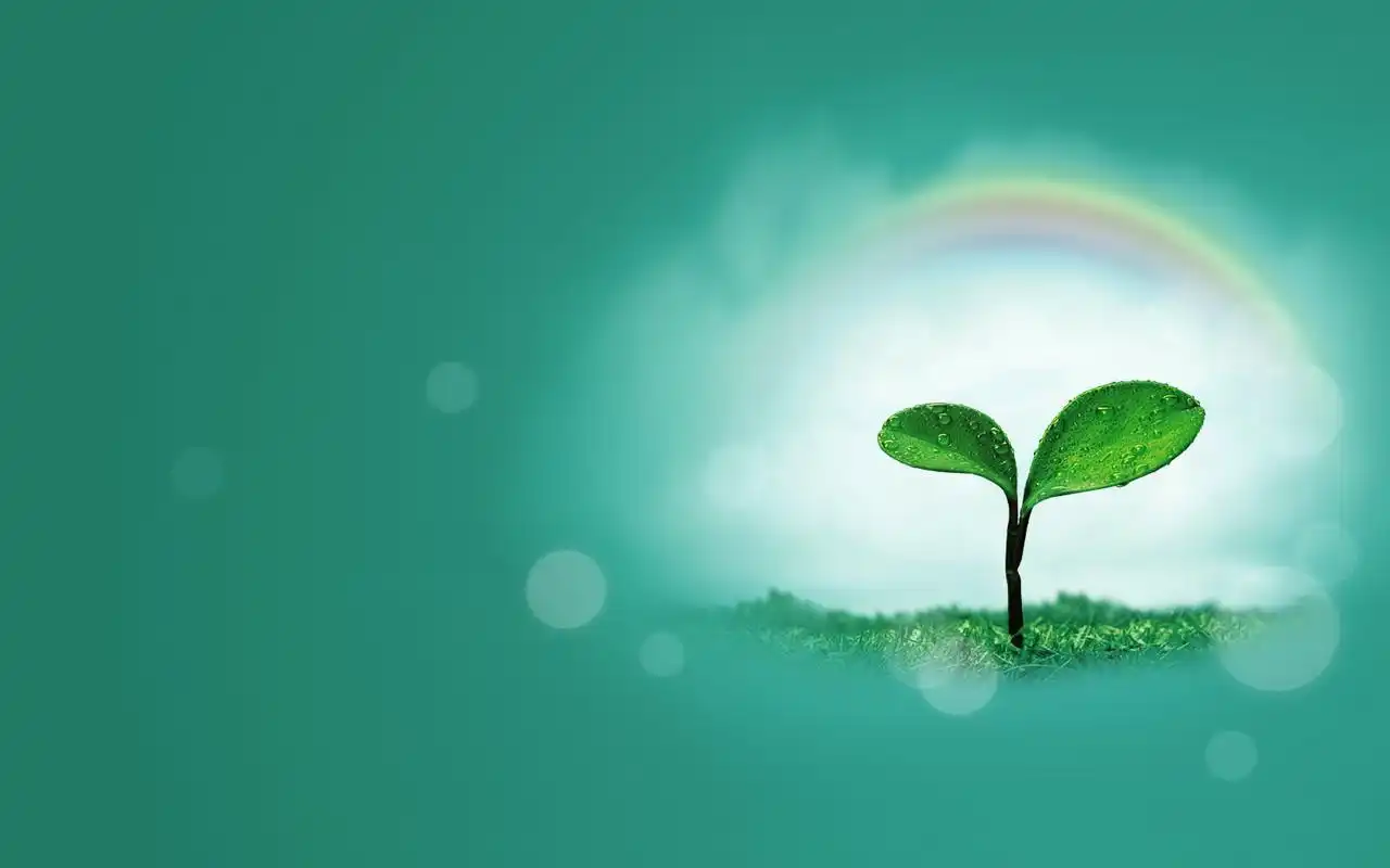 小清新简约风格