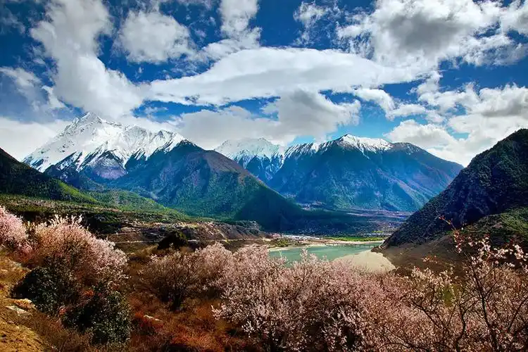 p>多雄拉山是徒步者徒步墨脱的第一个障碍,它海拔4500米左右,因为在