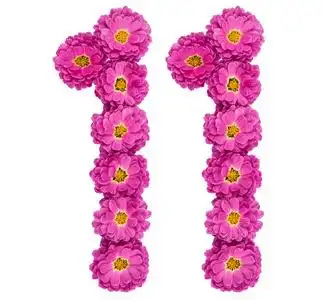 阿拉伯数字 11, 十一, 从菊花的花, isolat照片