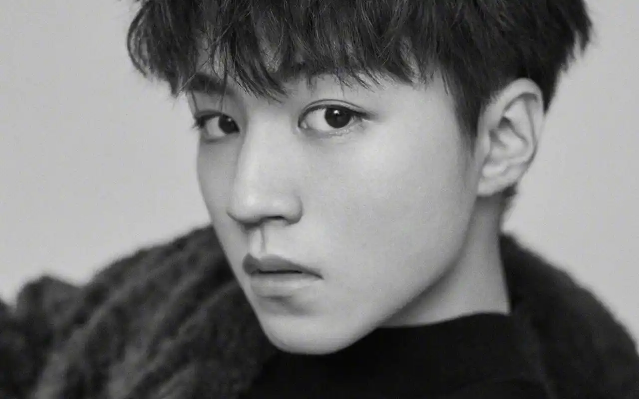 大片壁纸_大片写真桌面壁纸_高清大片壁纸大全_美桌网