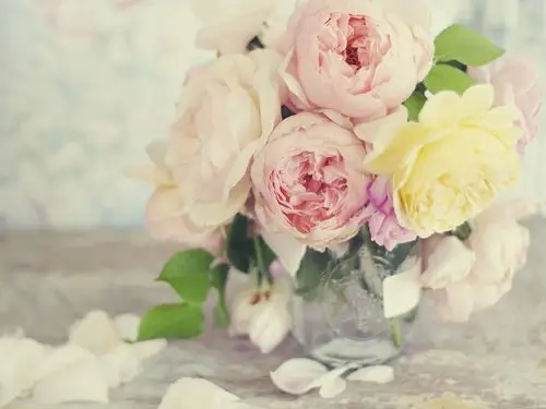 花朵,唯美,盛开,浪漫,花瓶,,静物花朵壁纸图片