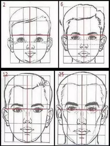 也是分为三庭五眼五官比例跟常人一样因为,没有抓住小孩的脸部特征