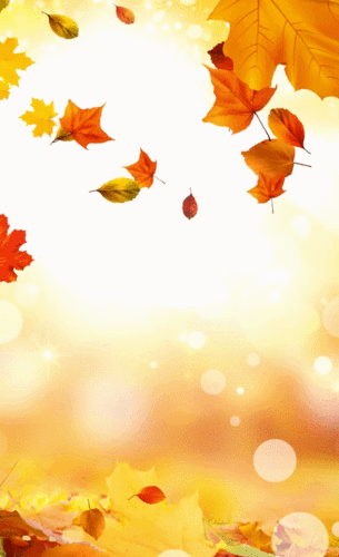 423_694竖版 竖屏gif 动态图 动图