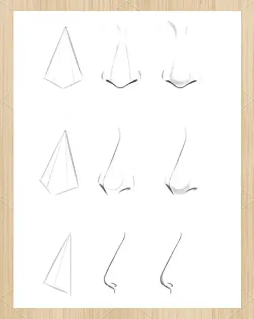 新手必学:简单又实用的鼻子画法