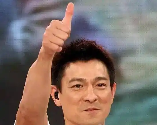 然而,由于这一事件,日本从此不再邀请刘德华进行任何演出.