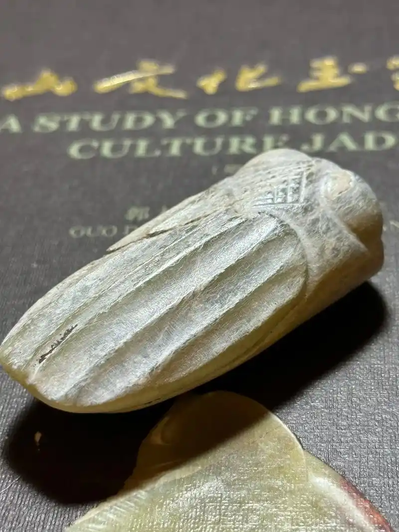 千年红山文化玉蝉