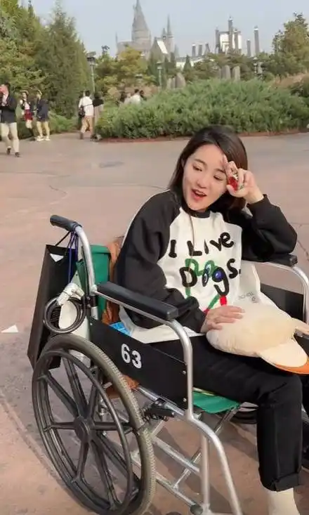 刘纯燕:有个好姑爷,王逸宸去环球影城玩女婿"全程用轮椅推着"_北京