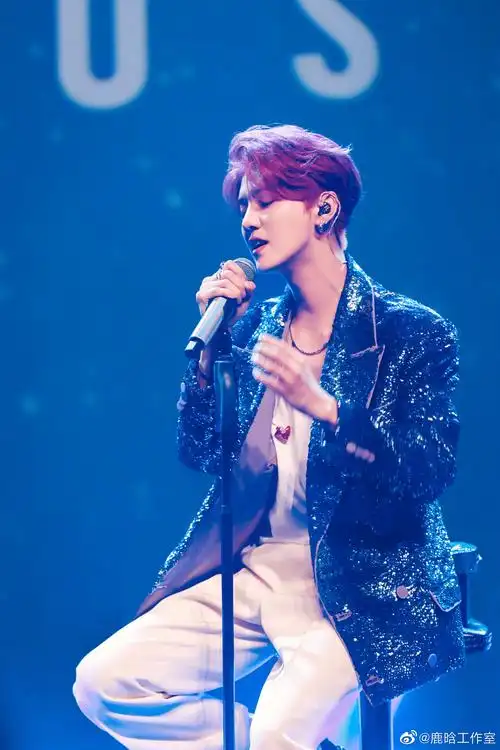 鹿晗演唱会主办方已申请πday商标_注册_门票_显示