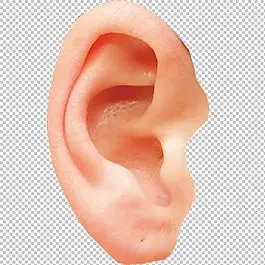 米奇耳朵图片_米奇耳朵素材_米奇耳朵模板免费下载-六图网