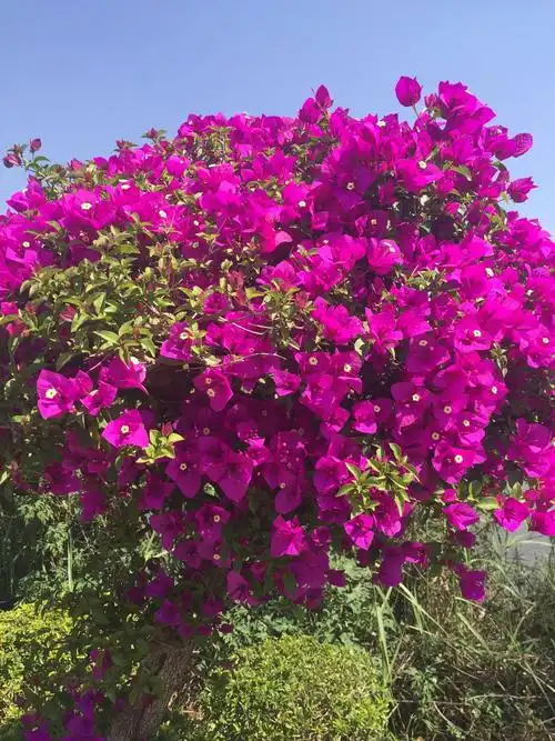 风景在眼前,未必走他乡