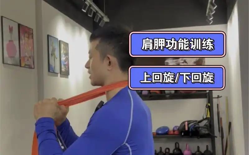 肩胛骨上回旋下回旋感知练习动作!练一段时间试试,你会感谢我的!