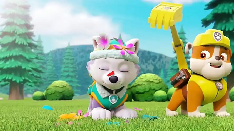 汪汪队立大功:珠珠被臭鼬喷了,汪汪队想方设法除味