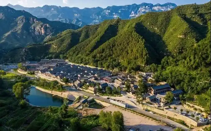 一枝一叶总关情丨骆驼湾:土豆香里话脱贫