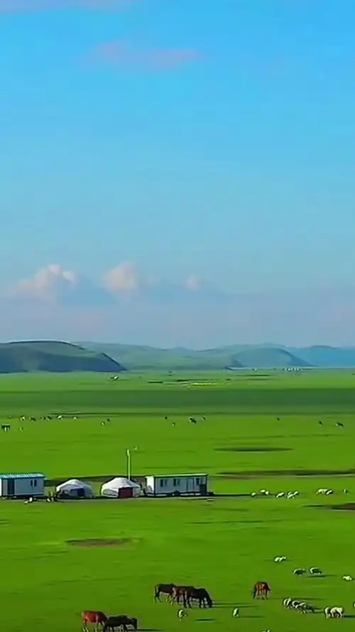 我们的大草原