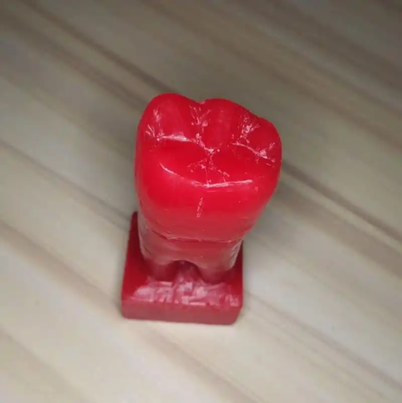 首先要了解下颌第一磨牙的各部位尺寸 2.