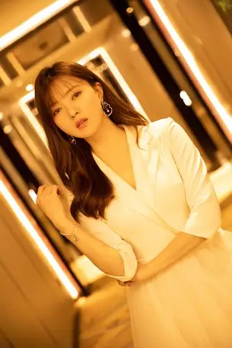 中国最佳女演员-傅晶-白天鹅