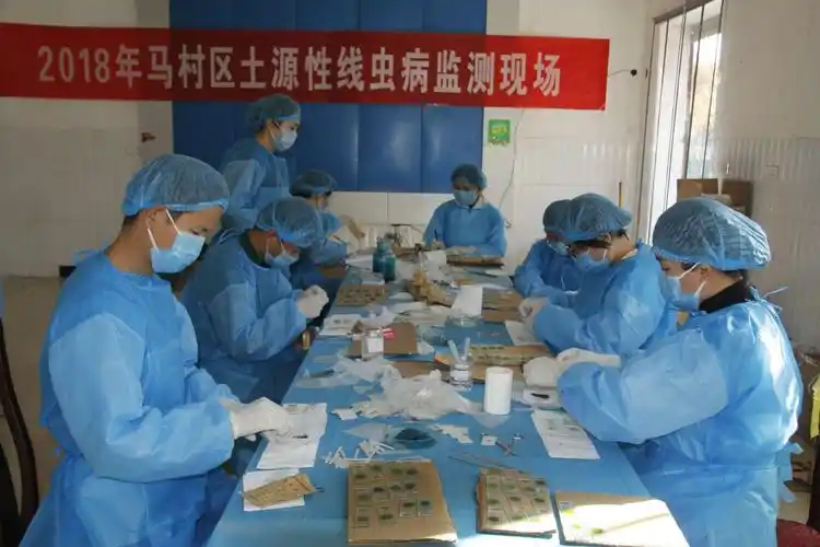焦作市马村区开展土源性线虫病监测工作