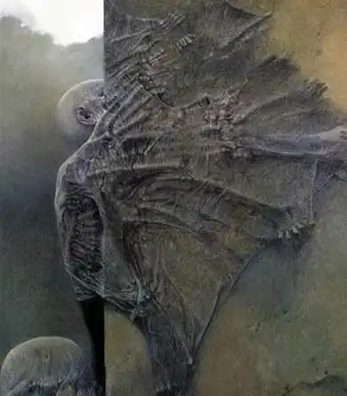 有人拍到了地狱什么样子的真实地狱景象图片