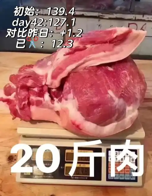 减掉20斤需要多久day42