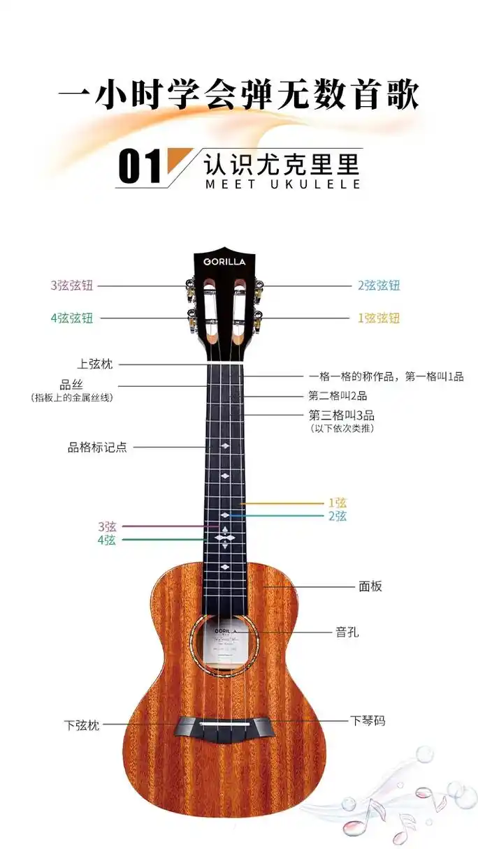 尤克里里一小时学会弹超多歌.