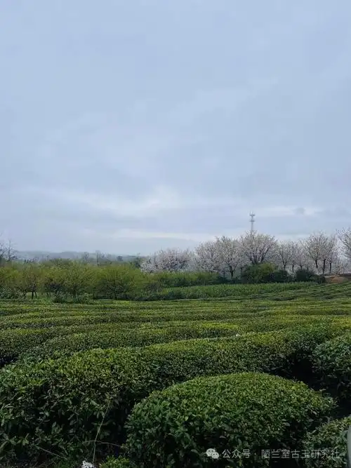 古玉收藏行家是如何炼成的一百二十七塖州市古董市场即存厮杀也见修养