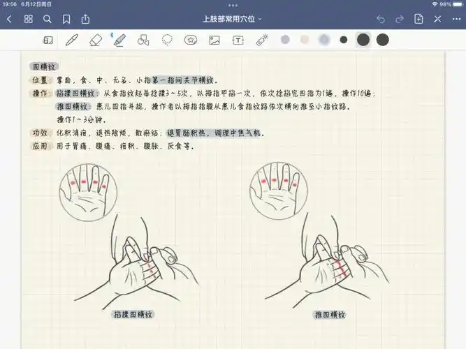 小儿推拿四横纹小横纹掌小横纹大横纹