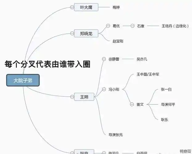 此前有营销号表示杨紫现在成功搭上了京圈,之后合作