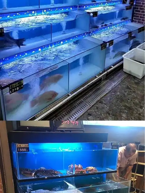 酒店超市饭店鱼缸商用移动海鲜鱼缸水产卖鱼专用恒温制冷一体鱼缸 0.