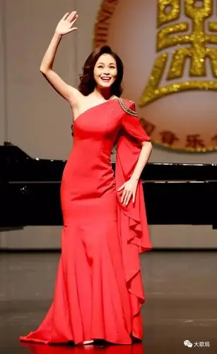 新生代实力派青年女高音歌唱家——龚爽