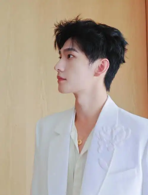 像是在欣赏艺术品,这侧颜这鼻子好名品好神…#杨洋花卉刺绣白西装