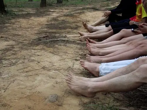 合浦养生健康群晨练- 松林光脚跑 -欢迎喜欢跑步的加入晨跑的队伍