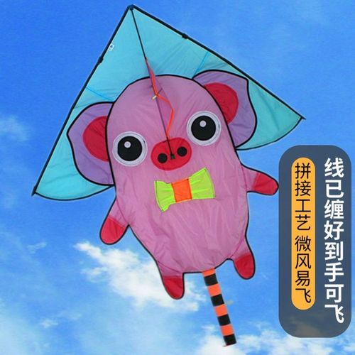 潍坊风筝青蛙2024新款搞笑易飞高端线轮盘儿童初学卡通批发亲子