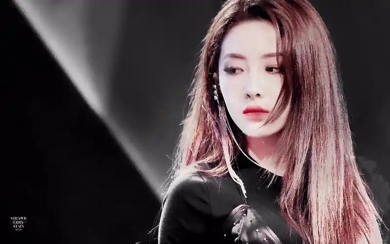 【喻言】令人心动的憨憨小可爱